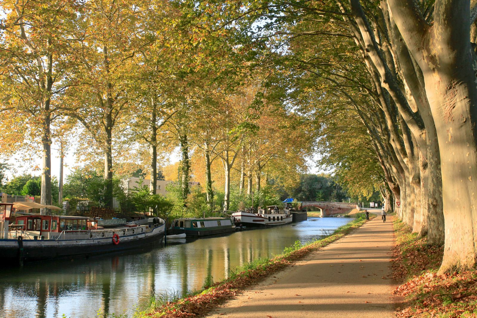Fietsvakanties langs Canal du Midi in Frankrijk